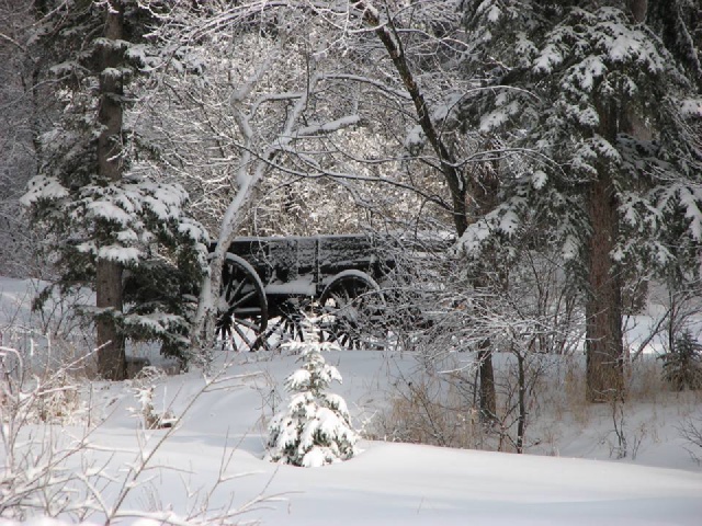 Spearfish Canyon 2-6-15.jpg